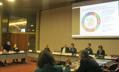 Round table on SDG12