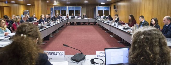 Round table on SDG15