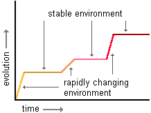graph of punctuated equilibrium